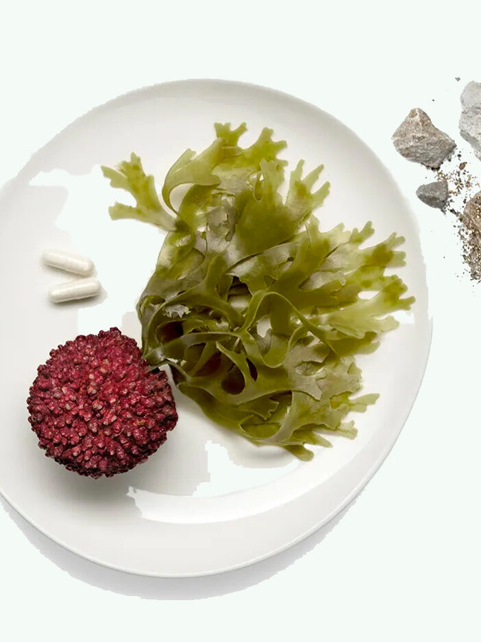 A plate of algae and two pill capsules. 