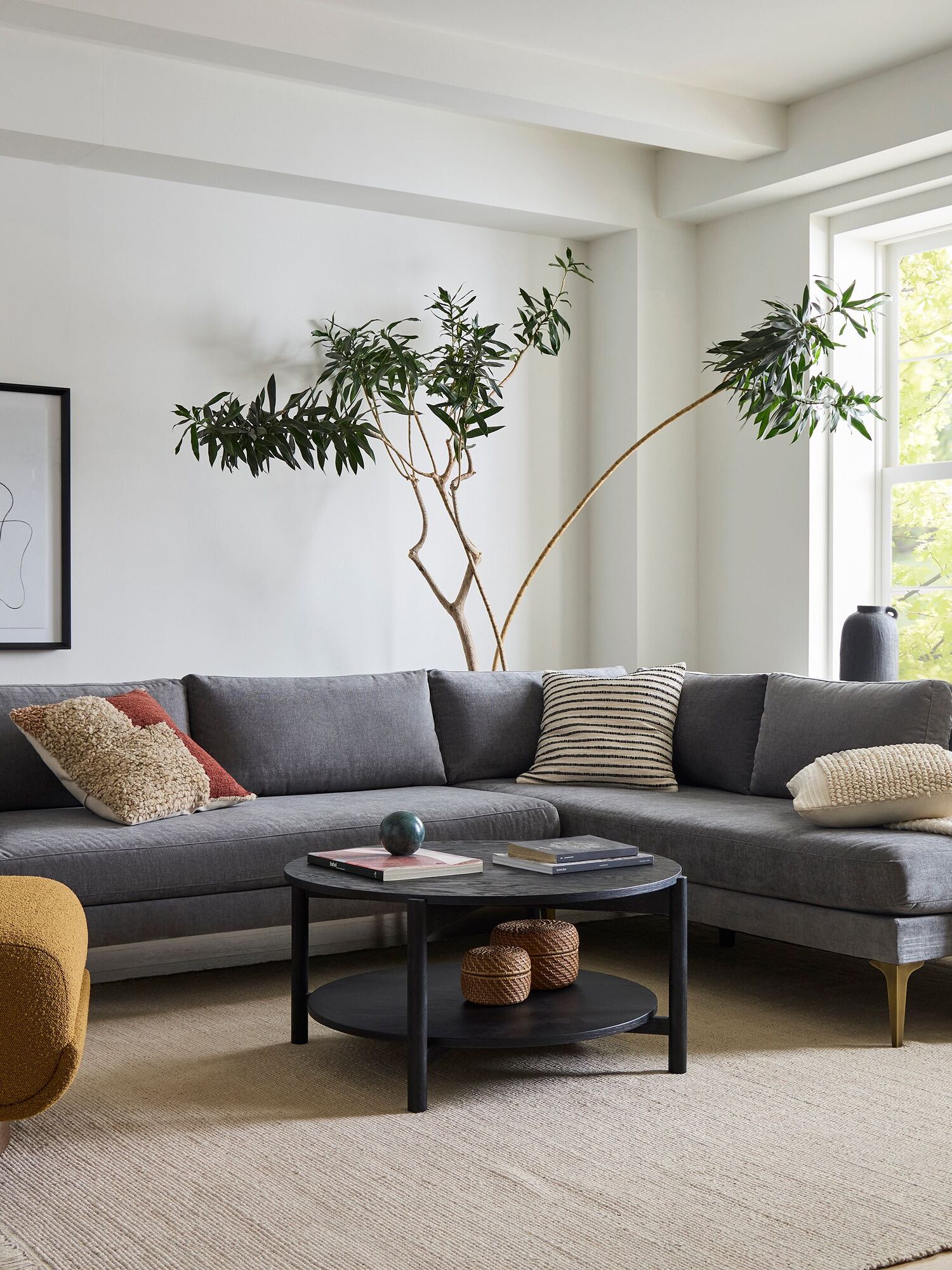 A modern living room with a gray sectional sofa, throw pillows, a round black coffee table, a yellow armchair, a large plant, and a window letting in natural light.
